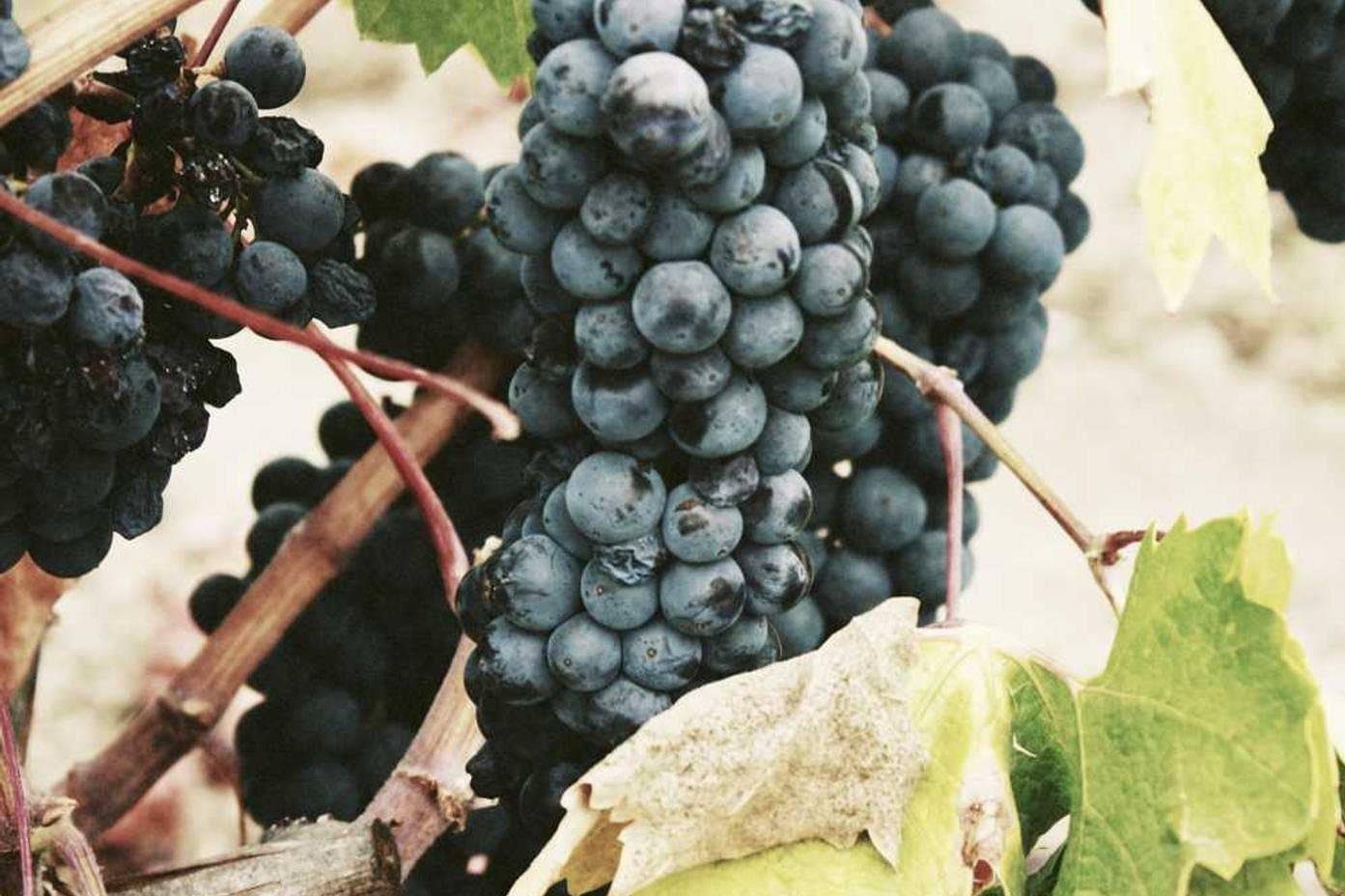 Análise: Há falta de comprometimento com as contas públicas em 2026